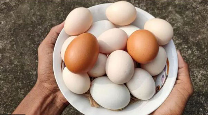 ডজনে ডিমের দাম কমল ২৪ টাকা