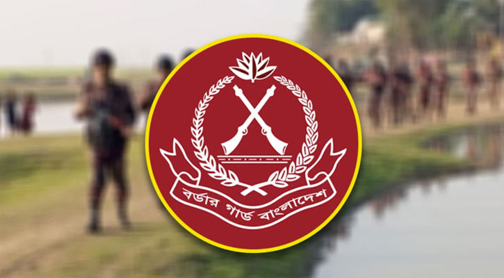 বিজিবিতে চাকরির সুযোগ, আবেদন করবেন যেভাবে