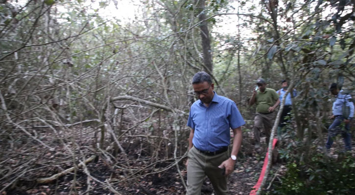 সুন্দরবনের আগুন নিয়ন্ত্রণে, আরও দুইদিন ছেটানো হবে পানি