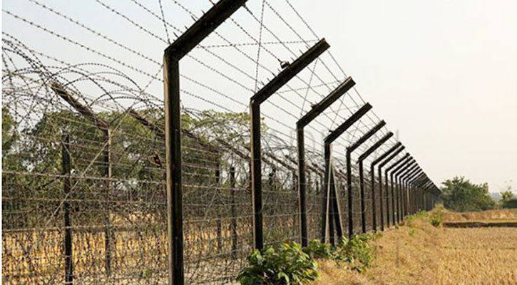 বড়লেখা সীমান্ত দিয়ে ৪৮ জনকে বাংলাদেশে ঠেলে পাঠাল বিএসএফ