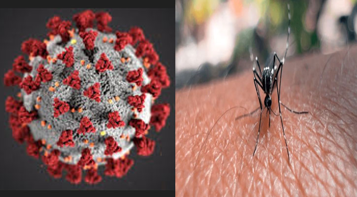 জুনে করোনা-ডেঙ্গুতে প্রাণ গেল ৪১ জনের
