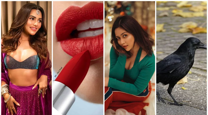 নুসরাত ফারিয়ার মার্কা লিপিস্টিক, ভাবনার  ‘কাক’