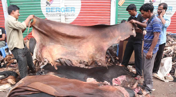 গরুর চামড়া বর্গফুটে বাড়ল ৩ টাকা