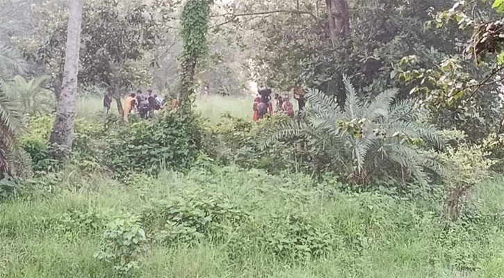 চাঁপাইনবাবগঞ্জ সীমান্তে ২৮ জনকে পুশ-ইন করল বিএসএফ