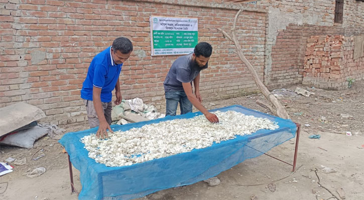 মাছের আঁইশে বাড়তি আয়, রপ্তানিতে আসছে বৈদেশিক মুদ্রা