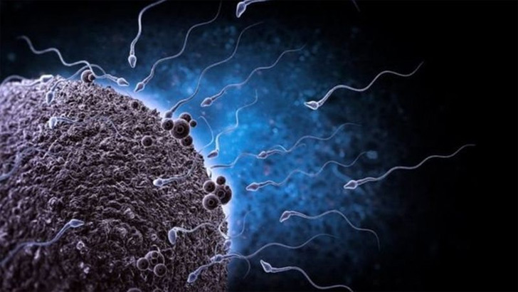 পুত্র সন্তান লাভের সহজ উপায়