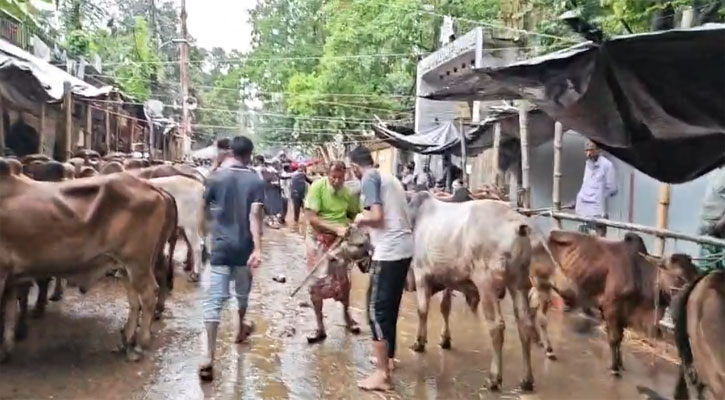ঈদযাত্রা আর গরুর হাটে বৃষ্টির হানা, চরম ভোগান্তি