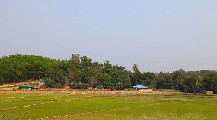 সীমান্তে এক দিনে ৫ বাংলাদেশি গুলিবিদ্ধ