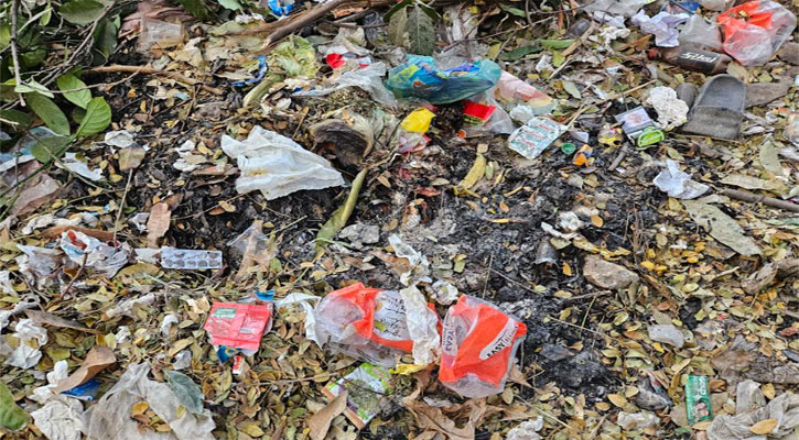 ঢাকা কলেজ যেন ময়লার ভাগাড়, ডাস্টবিনের অভাবে বাড়ছে স্বাস্থ্যঝুঁকি