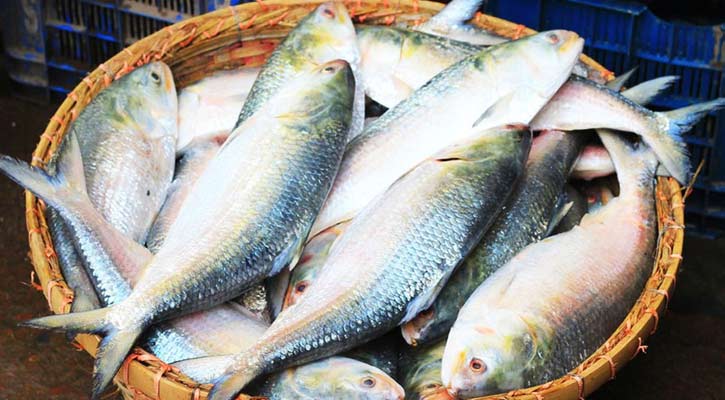 ইলিশ চেয়ে বাংলাদেশকে চিঠি দিল ভারত