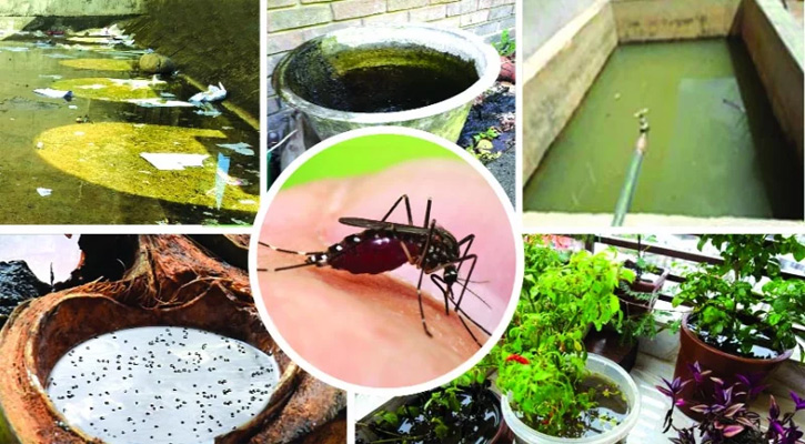 ডেঙ্গু প্রতিরোধে এগিয়ে আসুন