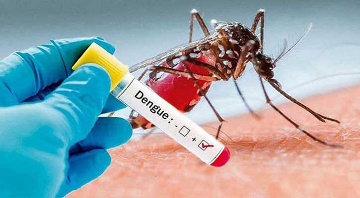 ডেঙ্গুতে আক্রান্ত আরও ১০১ জন হাসপাতালে ভর্তি