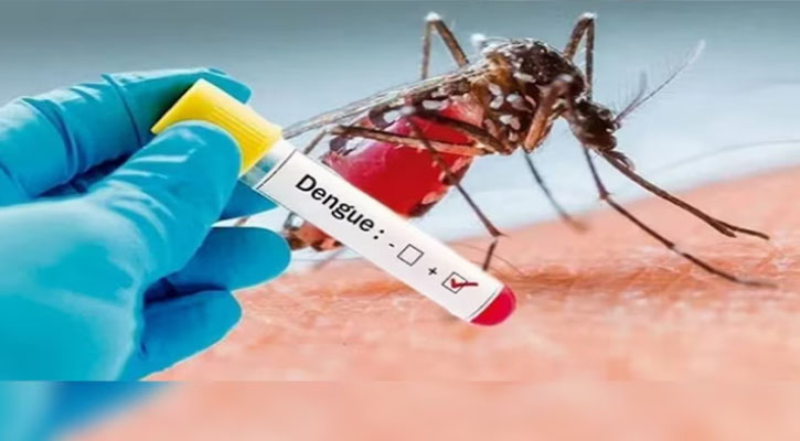 ডেঙ্গুতে প্রাণ গেল আরও চারজনের