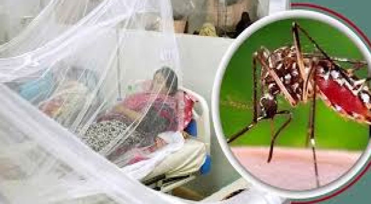 ভয়ঙ্কর ডেঙ্গুতে মৃত্যু আরও পাঁচজনের