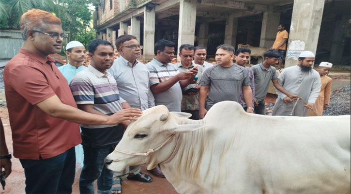 এতিম ও অসহায়দের মাঝে পরিবেশ মন্ত্রীর ৮ গরু বিতরণ 