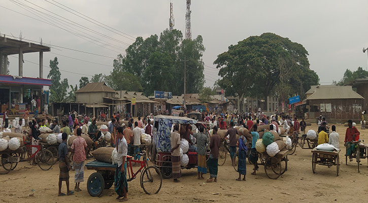 বৃহত্তর ময়মনসিংহে সবচেয়ে বড় লেবুর বাজার এনায়েতপুরে