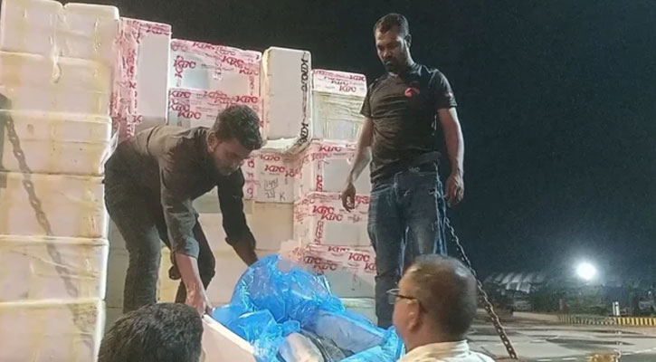 প্রথম চালানে ভারতে গেল ৩৭ মেট্রিক টন ইলিশ
