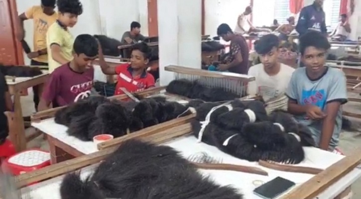 মেয়েদের চুল দিয়ে আসছে শতকোটি টাকার বৈদেশিক মুদ্রা