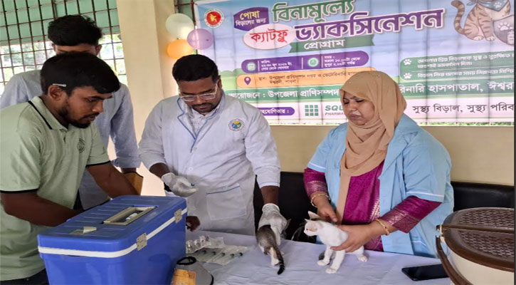 ঈশ্বরদীতে বিড়ালের ফ্রি ক্যাটফ্লু ভ্যাকসিন প্রদান শুরু