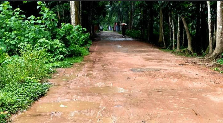 বেহাল দশা সিকদারহাট-ভাণ্ডারিয়া সড়ক, দুর্ভোগে ২০ হাজার মানুষ