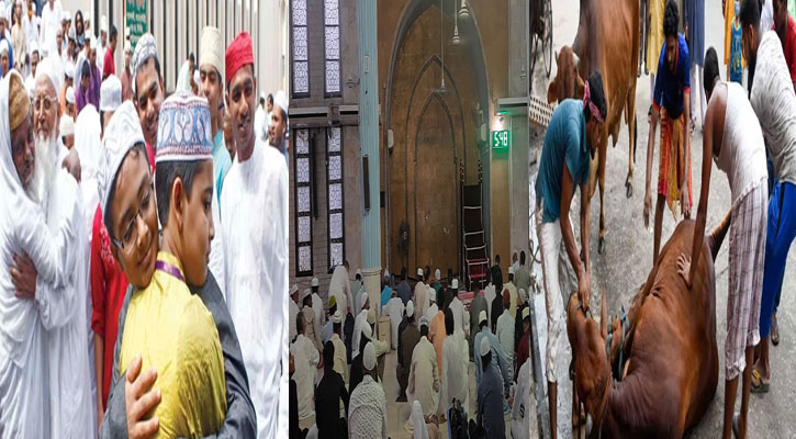 ত্যাগের মহিমায় উদযাপিত হচ্ছে ঈদুল আজহা