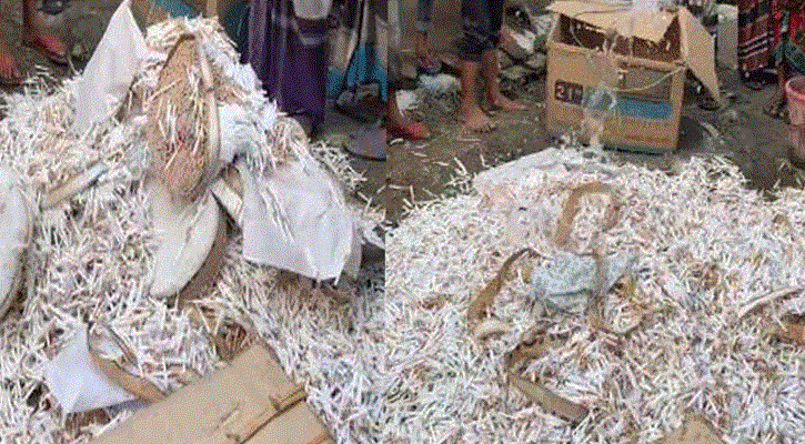কুষ্টিয়ায় পুলিশের অভিযানে সাড়ে ৪ লক্ষ নকল আকিজ বিড়ি জব্দ