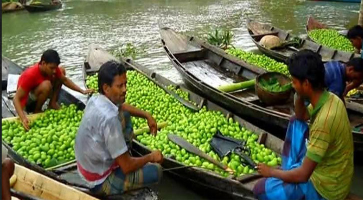 লেবুর রাজ্যে লেবুর আকাল, দাম আকাশ ছোঁয়া