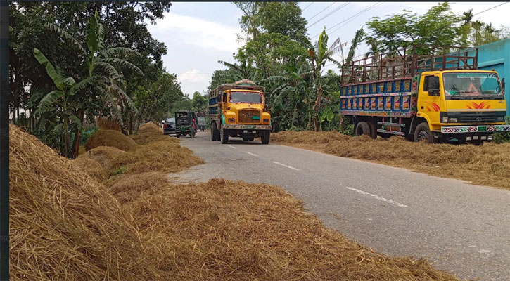 সড়কে ঝুঁকি বাড়াচ্ছে ধানের শুকনো খড়
