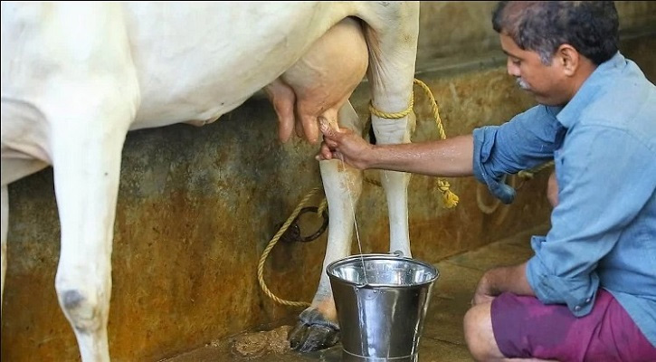 দেশের যেখানে দুধের লিটার ৩০ টাকা