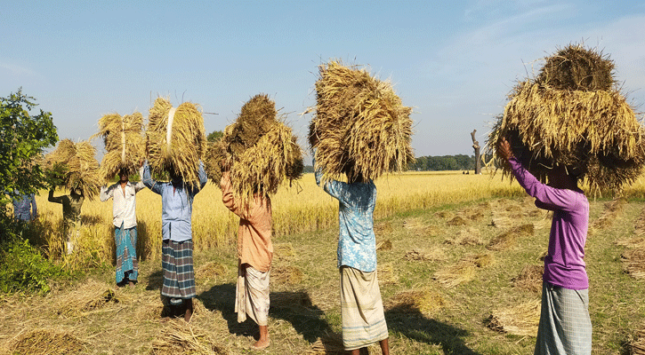 Qizlik bilan jinsiy aloqa buzilganligi haqida video Happy Together teleserialining porno parodiyalari