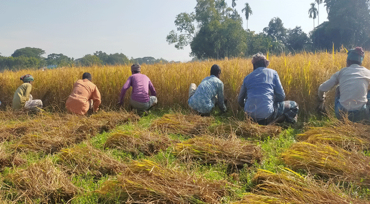 Tukli mushuklar bilan yalangoch rus ayollari Nasos bilan katta qinni pompaladi