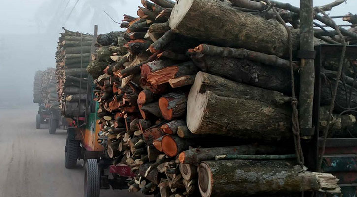 কৃষি জমি নষ্ট করে চলছে অবৈধ ইটভাটা