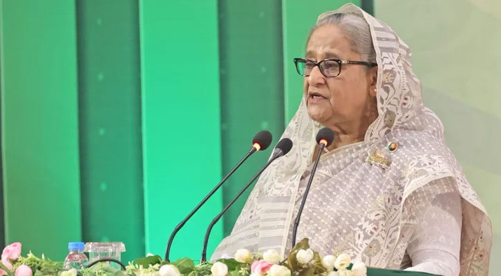 গণতন্ত্র আছে বলেই দেশে আর্থ-সামাজিক উন্নতি হচ্ছে: প্রধানমন্ত্রী