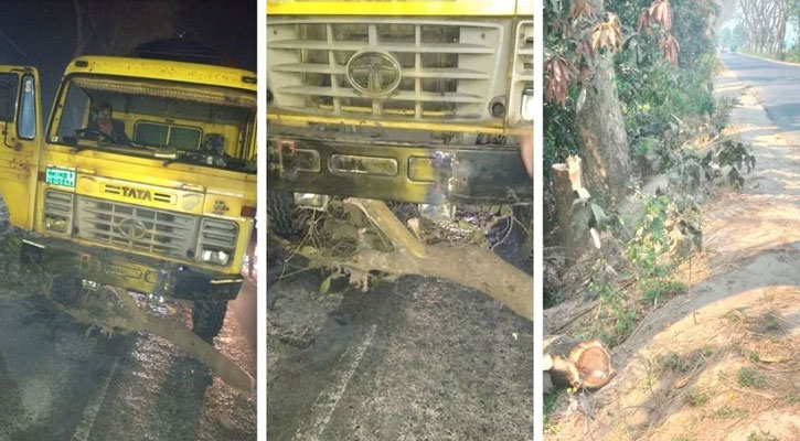 মধ্যরাতে সড়কে গাছ ফেলে ৪০ গাড়িতে ডাকাতি