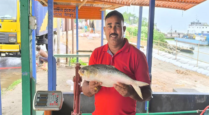 রাজবাড়ীতে এক ইলিশ বিক্রি আট হাজার টাকায়