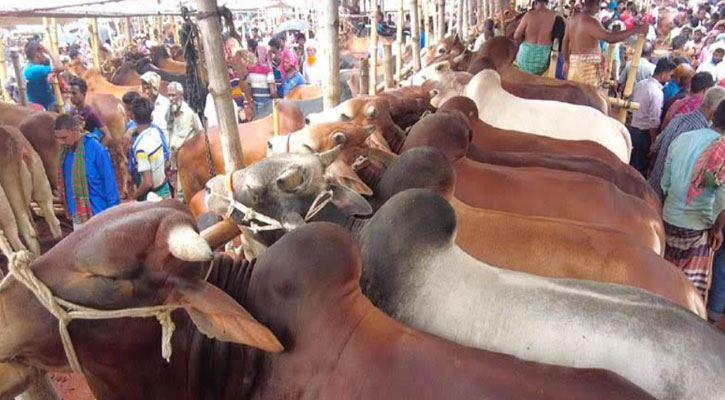 রাজশাহীতে হাটে হাটে অতিরিক্ত হাসিল আদায়, রেহাই পাচ্ছেন না বিক্রেতাও