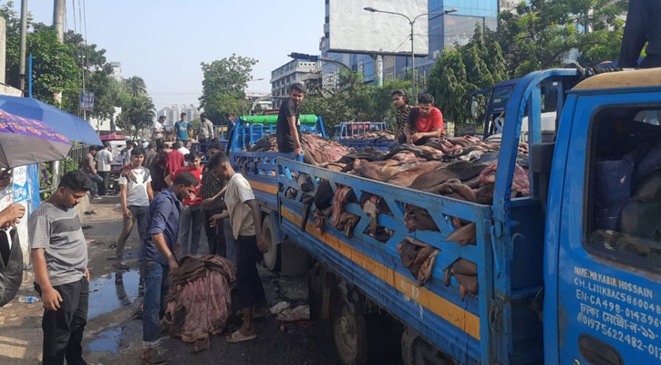চামড়ার বাজারে ধস, বিপাকে মৌসুমি ব্যবসায়ীরা