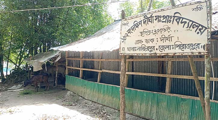 পাঁচ শিক্ষার্থীর জন্য চার শিক্ষক, পাশে গরুর খামার