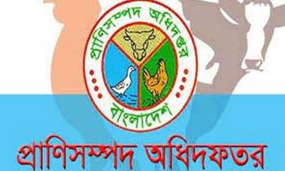 প্রাণিসম্পদ অধিদপ্তর নিয়োগ বিজ্ঞপ্তি ২০২৫, নেবে ৬৩৮ জন 