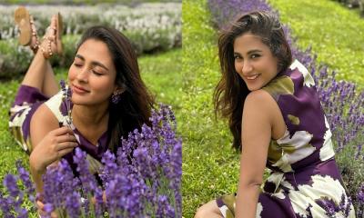 ল্যাভেন্ডার ফুলের মাঝে স্নিগ্ধ লুকে মেহজাবীন