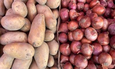 Katta eshakli godak video