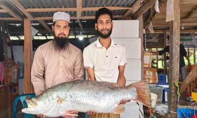 বঙ্গোপসাগরে ধরা পড়ল ১৯ কেজি কোরাল, ২৫ হাজার ৬৫০ টাকায় বিক্রি