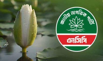 নতুন ৩ দলকে প্রতীক বরাদ্দ, শাপলা কলি পেল এনসিপি