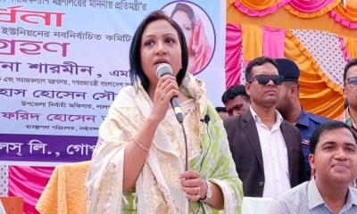 ভঙ্গুর অর্থনীতিতে দায়িত্ব, অপচয় বন্ধে জোর দিলেন প্রতিমন্ত্রী পুতুল