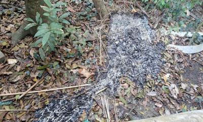 বীর মুক্তিযোদ্ধার কবরে কেন আগুন?