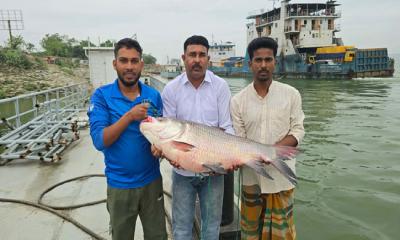 ২৫ কেজির কাতলের দাম ৪২ হাজার টাকা