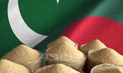 যে কারণে বাংলাদেশের জন্য ১ লাখ টন চাল কিনছে পাকিস্তান 
