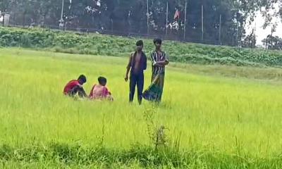 রৌমারী সীমান্তে পুশইনের চেষ্টা ব্যর্থ, বিজিবির টহল জোরদার