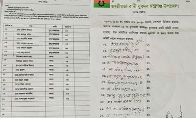 টাকার বিনিময়ে প্রবাসীদের দিয়ে যুবদলের কমিটি, ১৬ নেতার পদত্যাগ