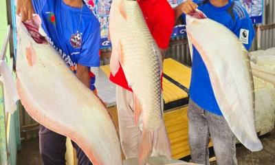 এক রুই ও দুই চিতল মাছের দাম ৮৯ হাজার টাকা!